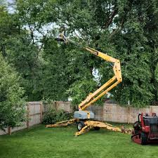 Best Tree Trimming and Pruning  in Avimor, ID